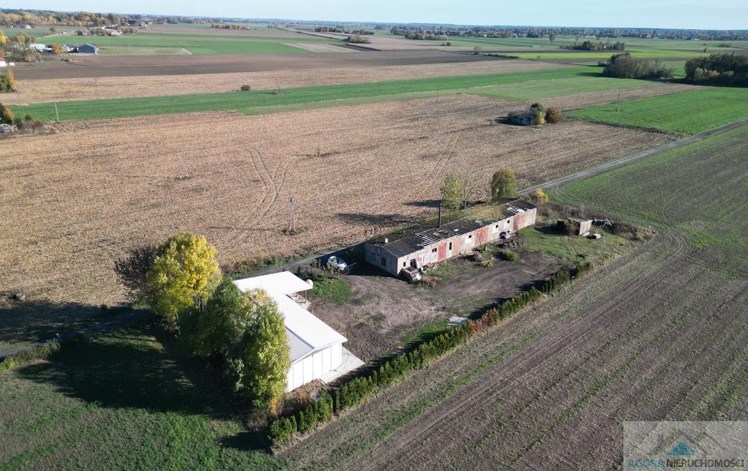 Hala i budynek, na działce produkcyjno-usługowej, gmina Słupno