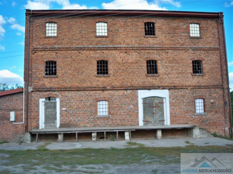 Młyn na sprzedaż, Białotarsk Gmina Gostynin